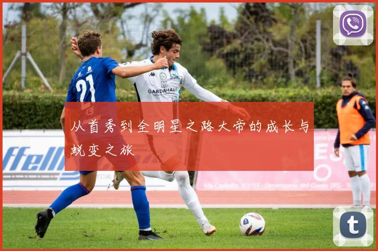 从首秀到全明星之路大帝的成长与蜕变之旅